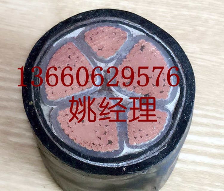 花環珠江電纜電線